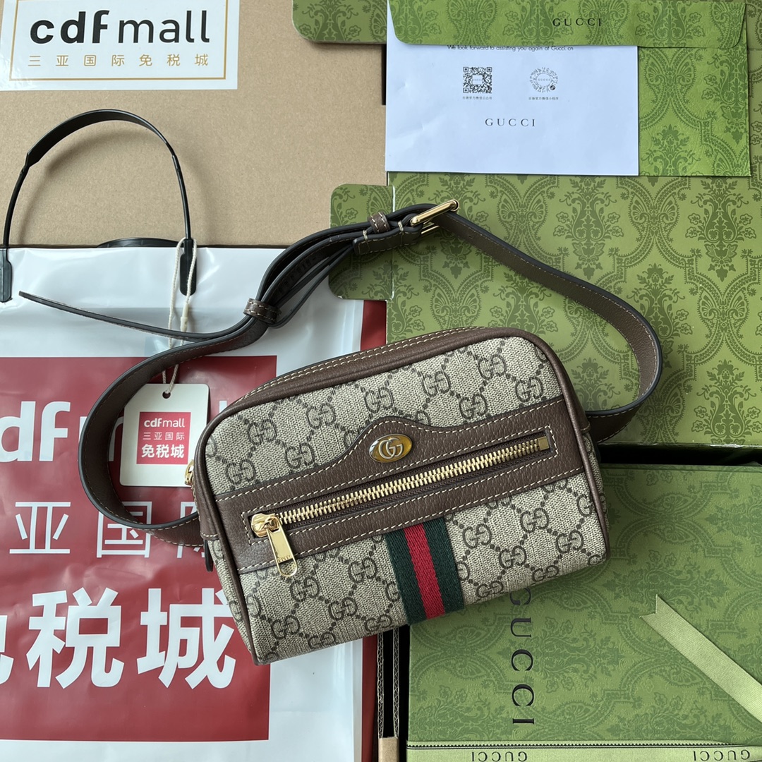 i1663656044_6650_0.jpg Ophidia Belt Bag - Image 1